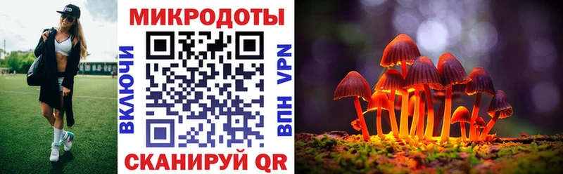 Галлюциногенные грибы мицелий  Пудож 