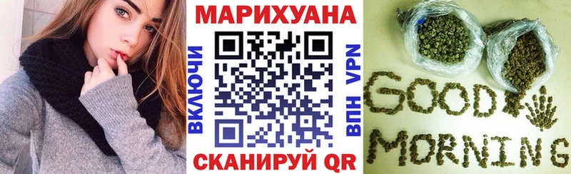 Бошки марихуана THC 21%  как найти закладки  Пудож 